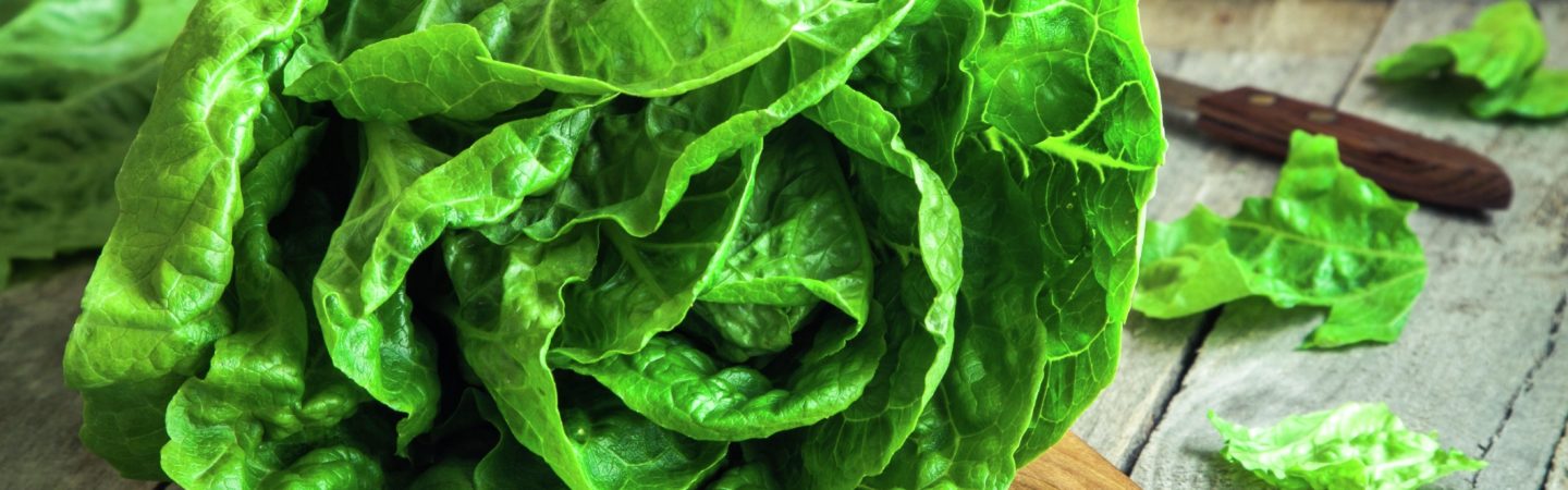 Ripe organic green salad Romano on a cutting board