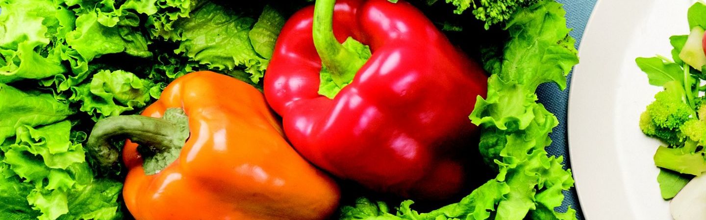 Photography of arranged vegetables, including bell peppers, lettuce, and broccoli