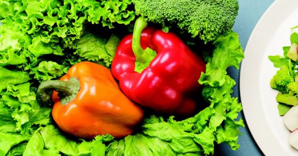 Photography of arranged vegetables, including bell peppers, lettuce, and broccoli