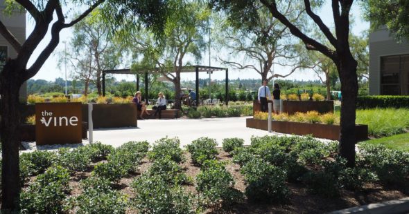 Photography of the outdoor workspace and gathering area, The Vine, located in Orange County, CA