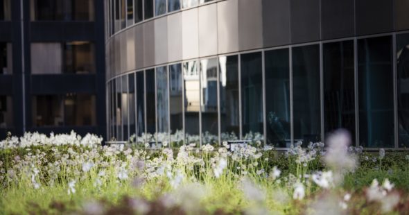 Building photography of the 71 South Wacker exterior featuring outdoor landscaping in Chicago, IL